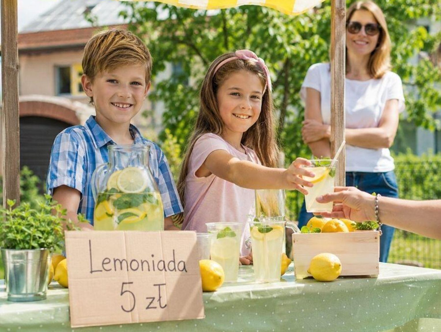 Dzieci mogą sprzedawać lemoniadę bez zgody sanepidu. GIS potwierdza i wyjaśnia zasady