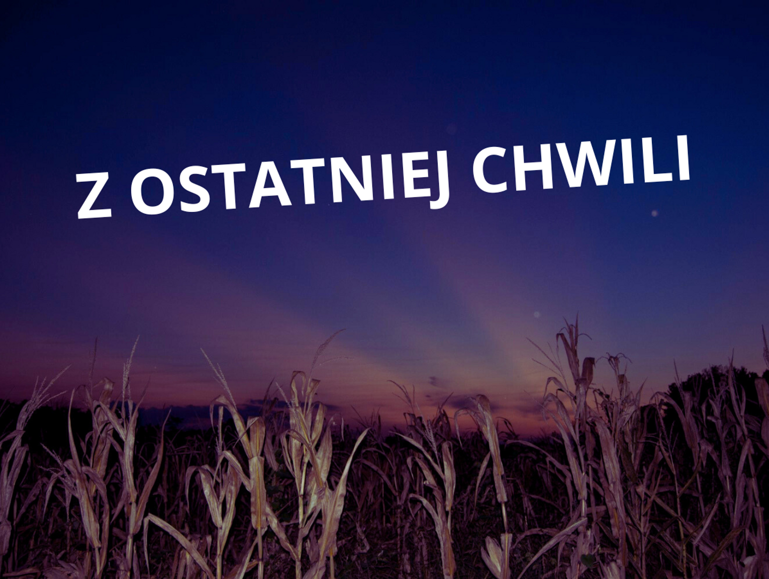 Eksplozja na Lubelszczyźnie. Niezidentyfikowany obiekt spadł na pole w pobliżu Łukowa