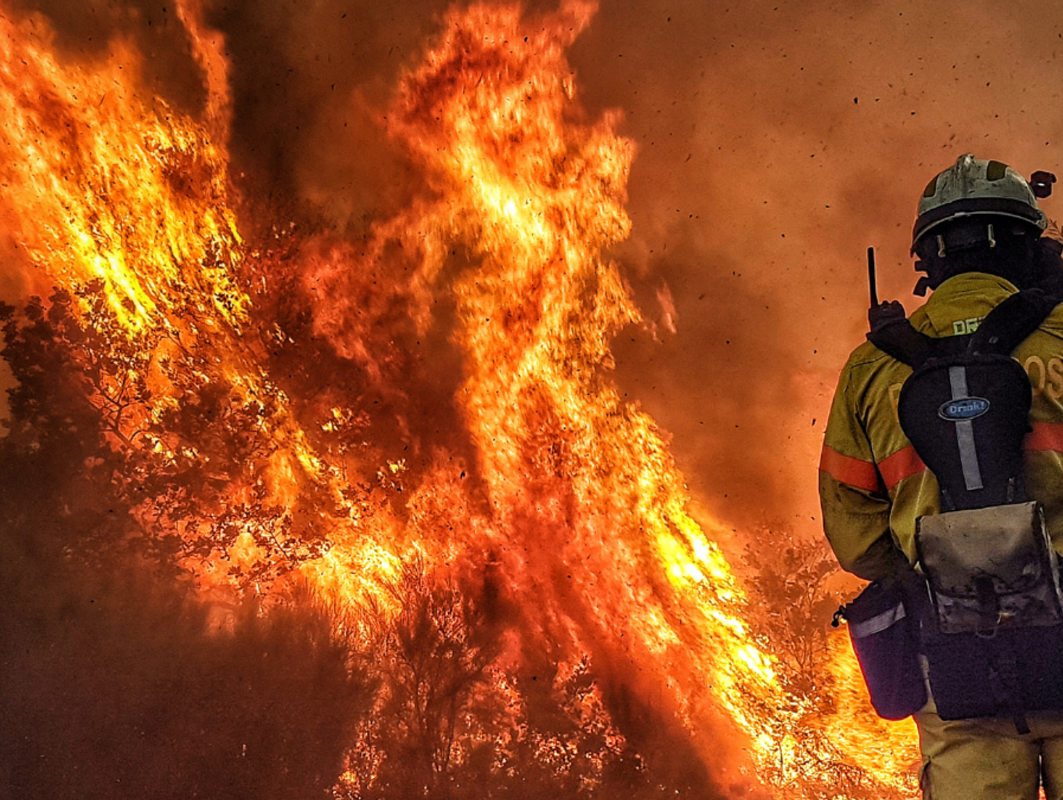 Gigantyczna kara za wypalanie traw. Mocno uderzy po kieszeni