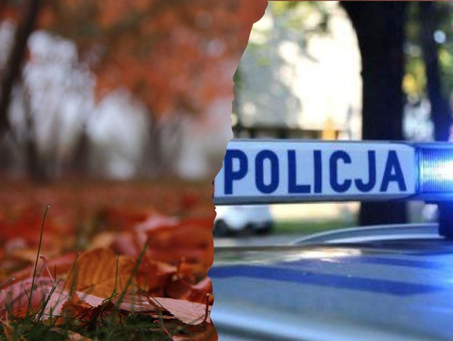 Gm. Lubycza Królewska: Dzielnicowy odnalazł zagubione grzybiarki