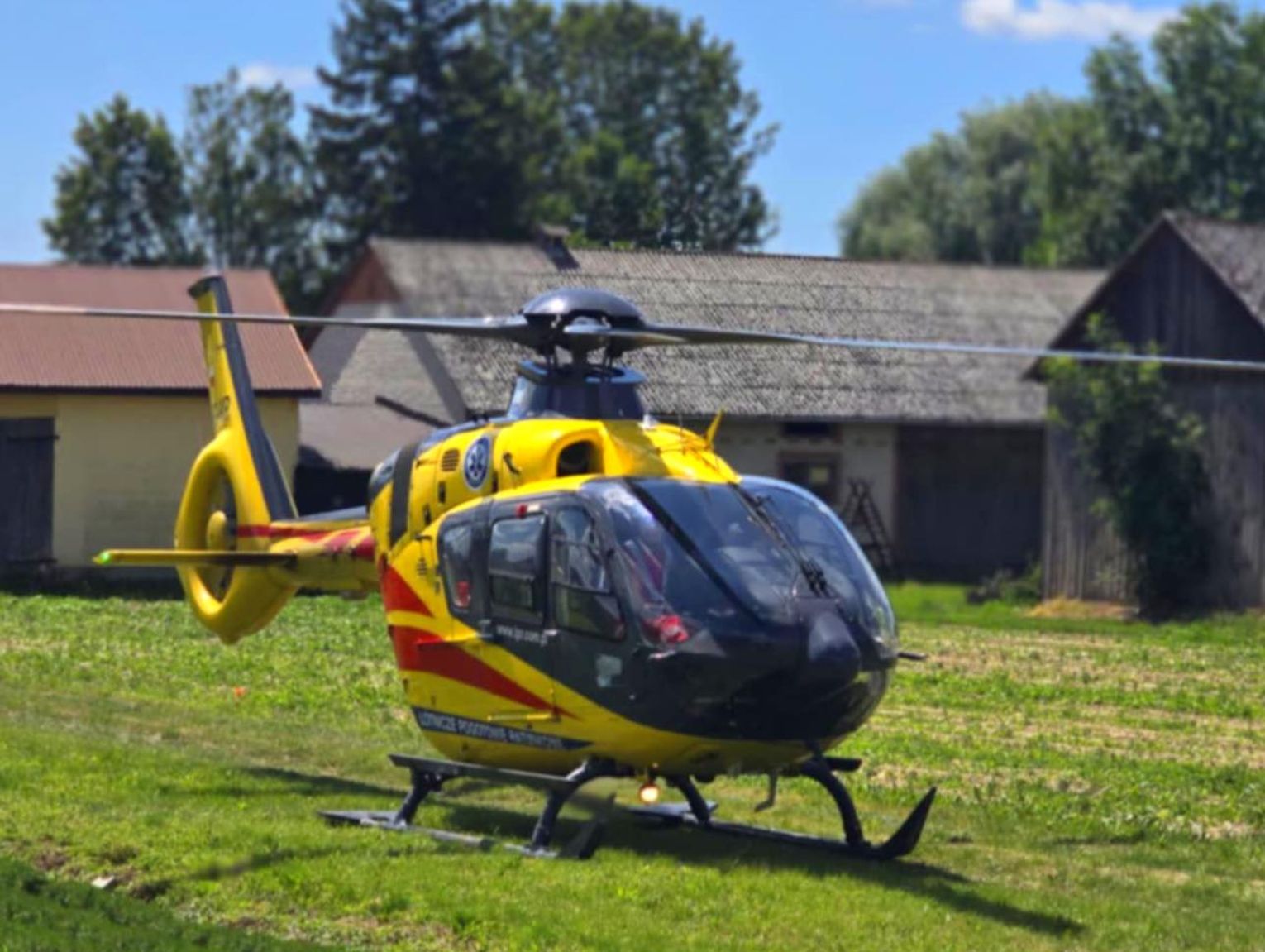 Pies sąsiada zaatakował dziecko. 4-latkę z ciężkimi obrażeniami głowy śmigłowiec przetransportował do szpitala