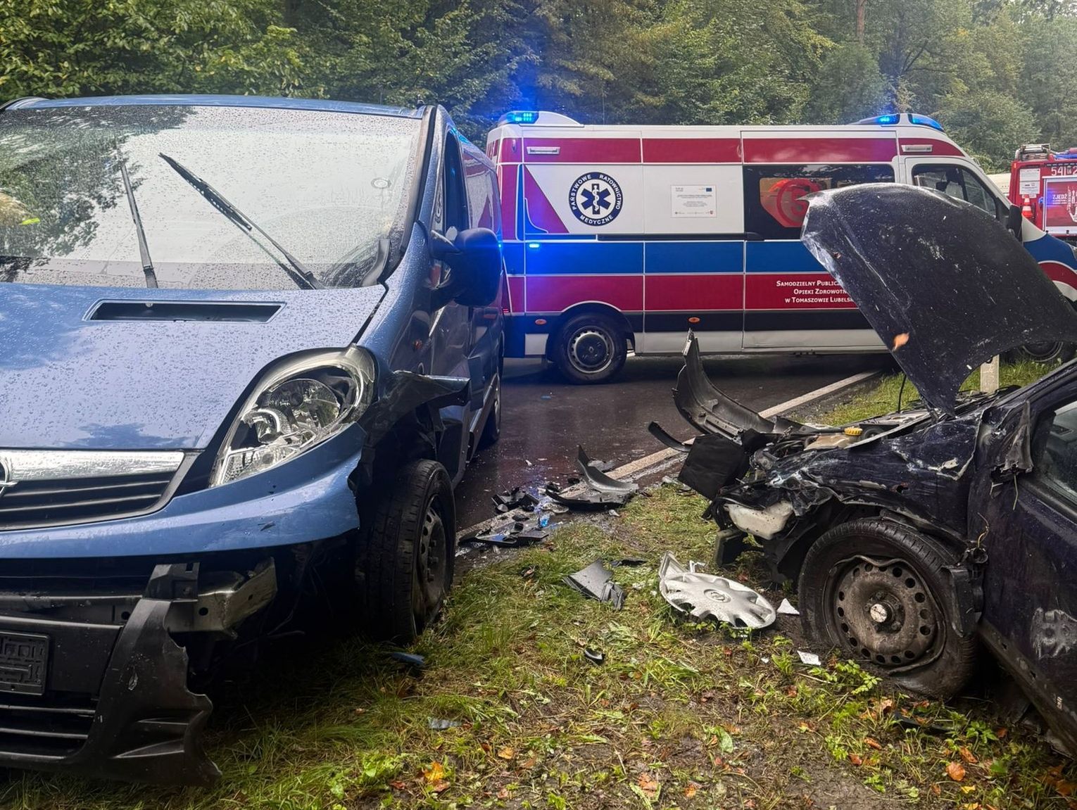 Gm. Tarnawatka: 19-latek wyprzedzał na linii ciągłej. Doprowadził do wypadku