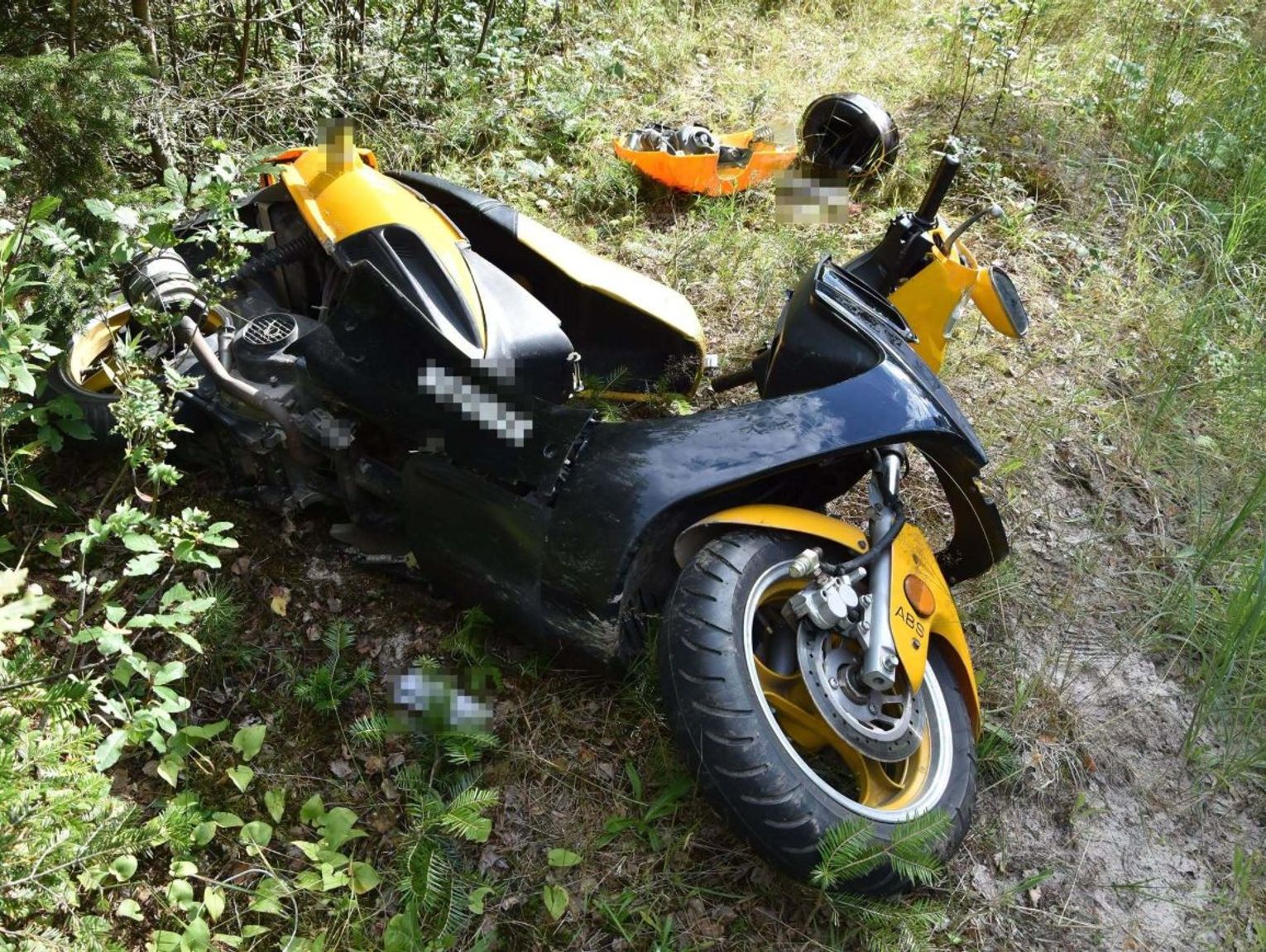 Gm. Tereszpol: Jeleń staranował skuter w Ratwicy. 46-latek trafił do szpitala