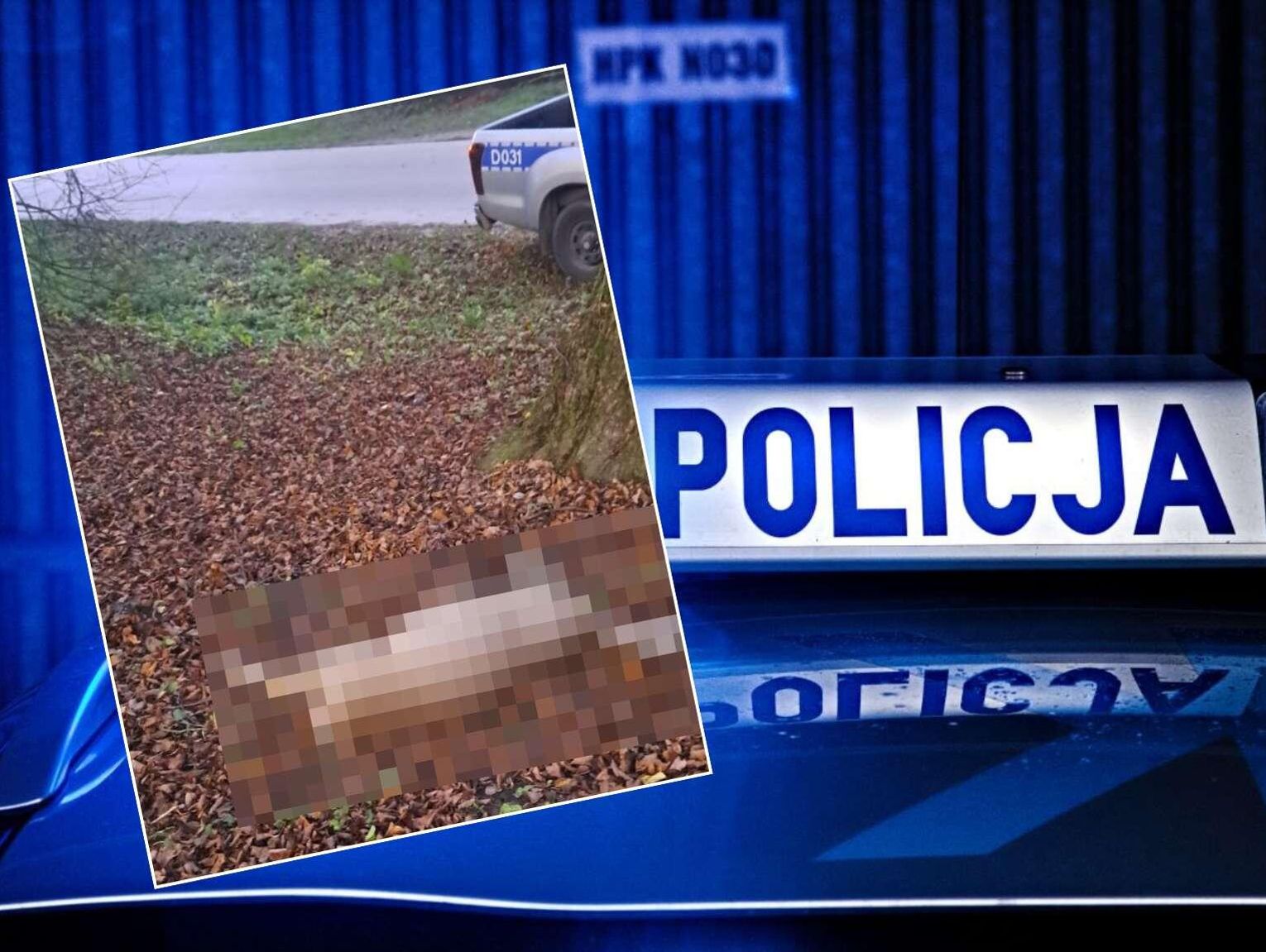 Gmina Uchanie: Szedł ulicą z martwą sarną na plecach. 60-latek stanie przed sądem