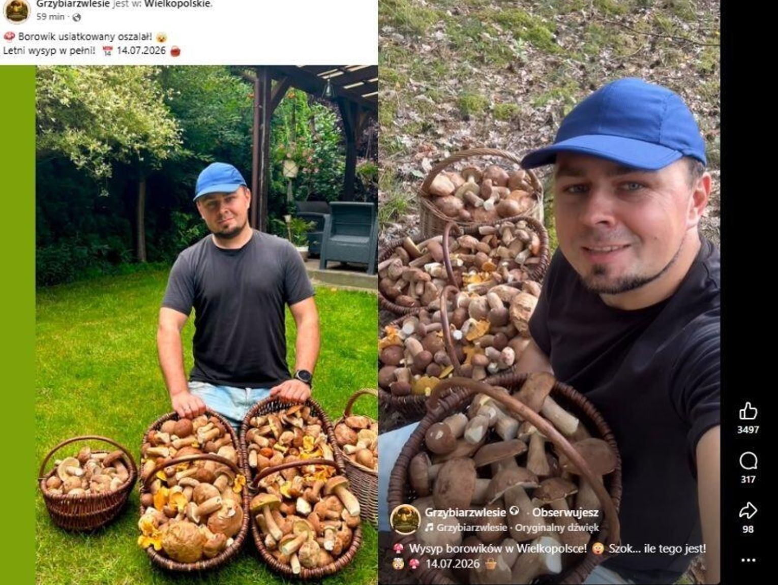Grzybiarz pokazał imponujący zbiór. Prawdziwy wysyp czy AI?