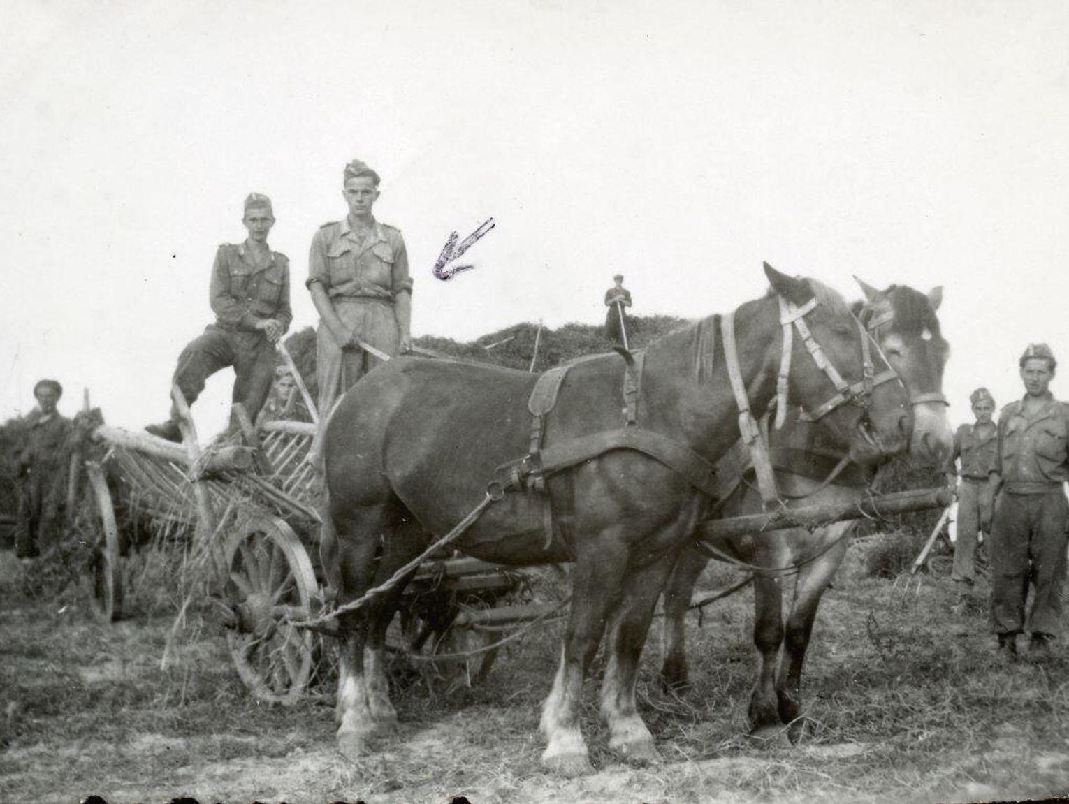 Historia: 75. rocznica Akcji H-T. Jak Stalin "prostował" granicę Polski?