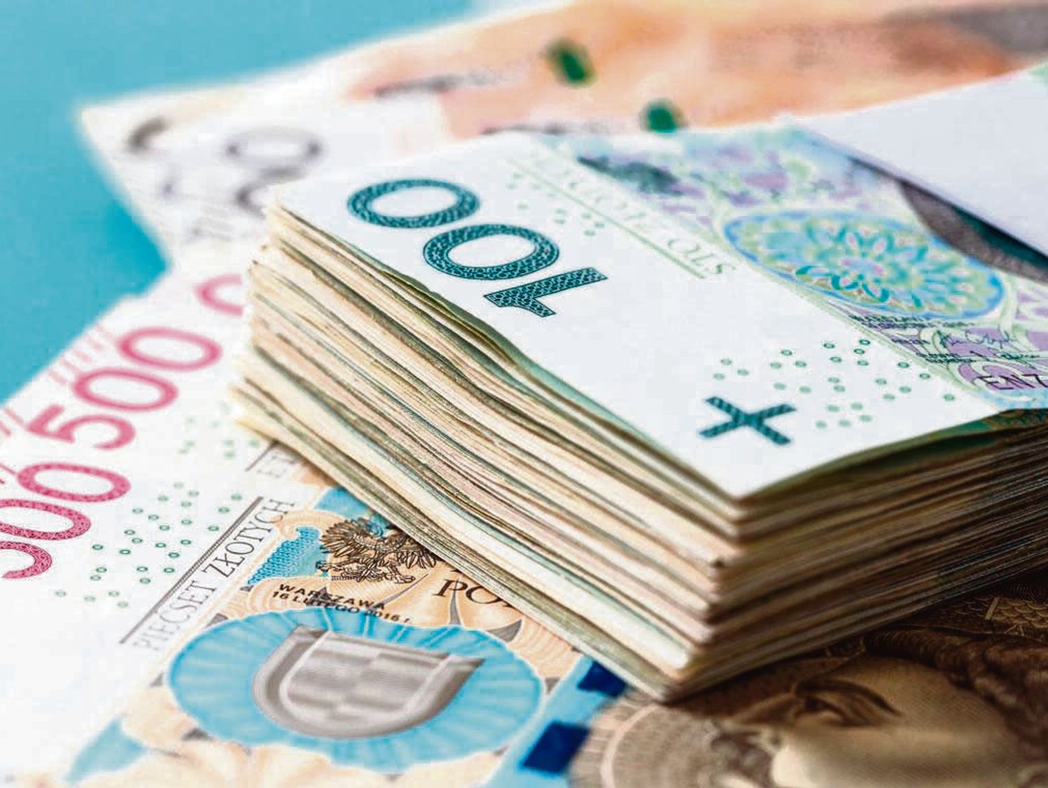 Hrubieszów, Horodło: Tysiące złotych na walkę z niedożywieniem