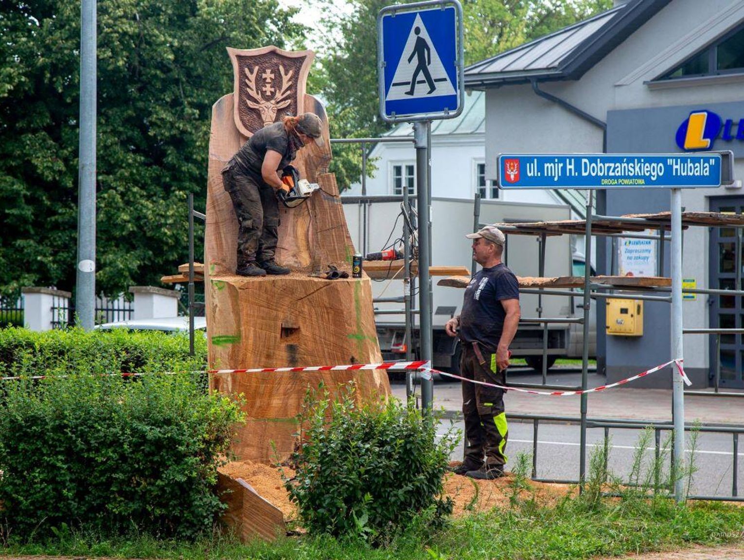 Hrubieszów: Z pnia po zabytkowym dębie jest królewski tron