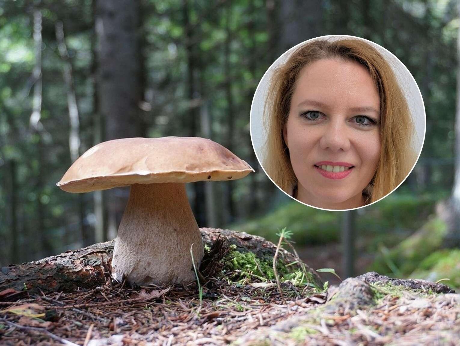 Jak na grzyby to tylko dobrze znane. Ekspertka radzi, jak nie pomylić kani z muchomorem