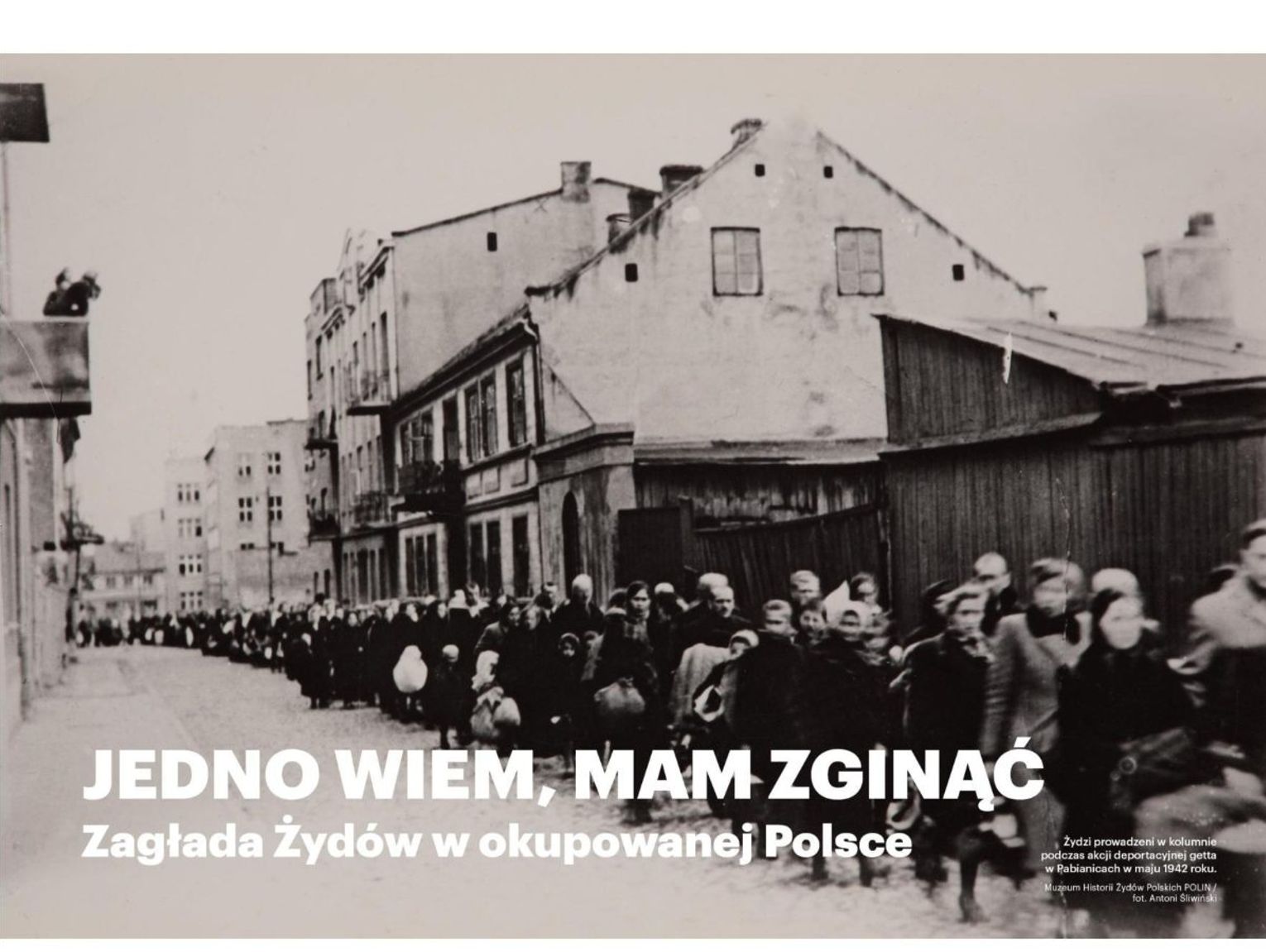 „Jedno wiem, mam zginąć". Poruszająca wystawa w zamojskiej Synagodze