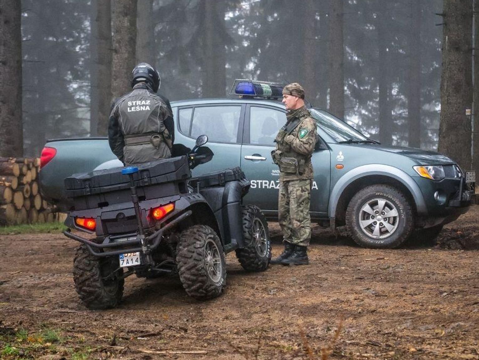 Jedziesz autem na grzyby? Uważaj, 14 września w lasach ruszają kontrole