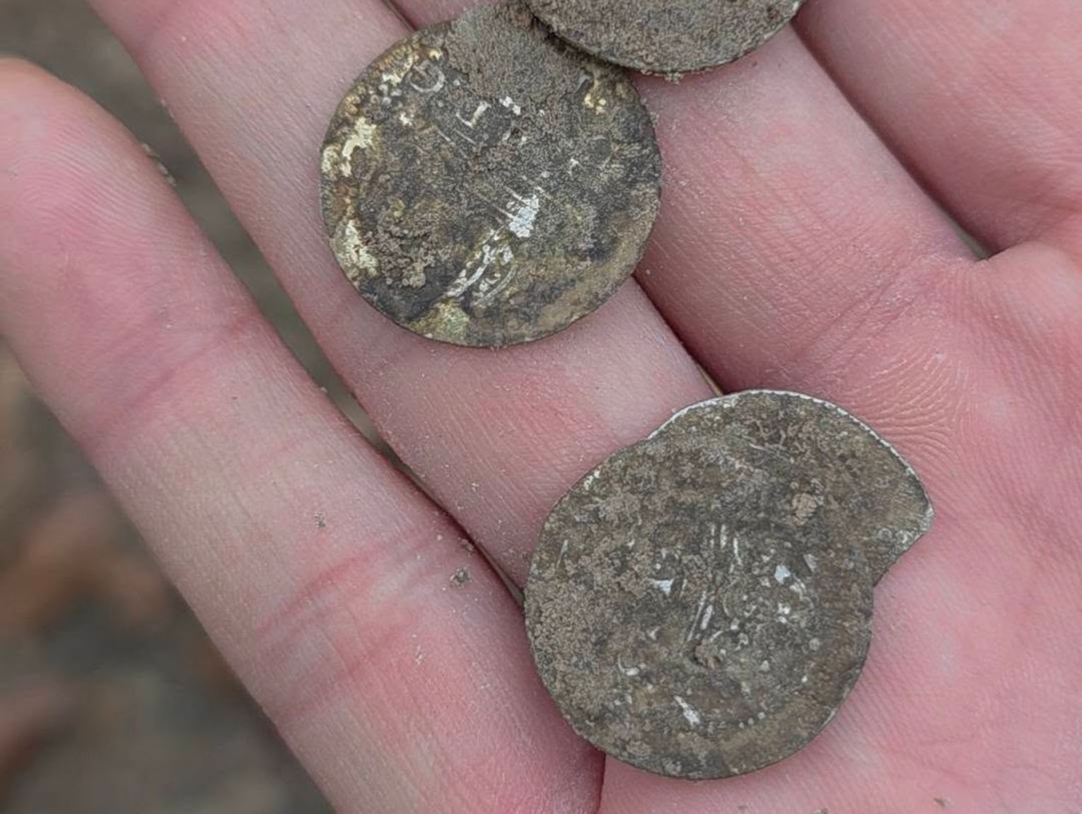 Krasnystaw: Znaleźli srebrny skarb z czasów Zygmunta III Wazy!