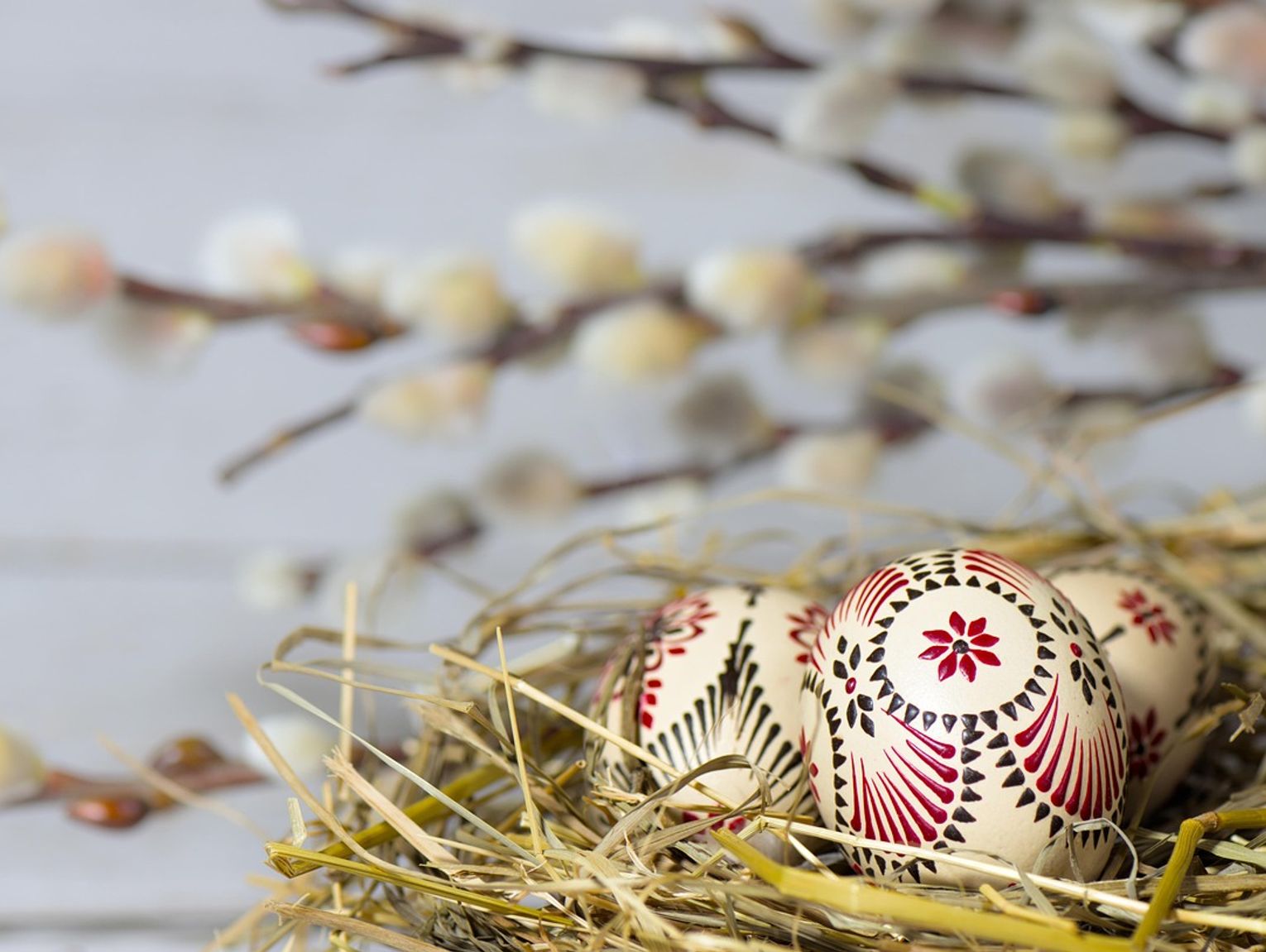 Kto zrobi najpiękniejsze palmy w powiecie tomaszowskim? Bełżec ogłasza konkurs