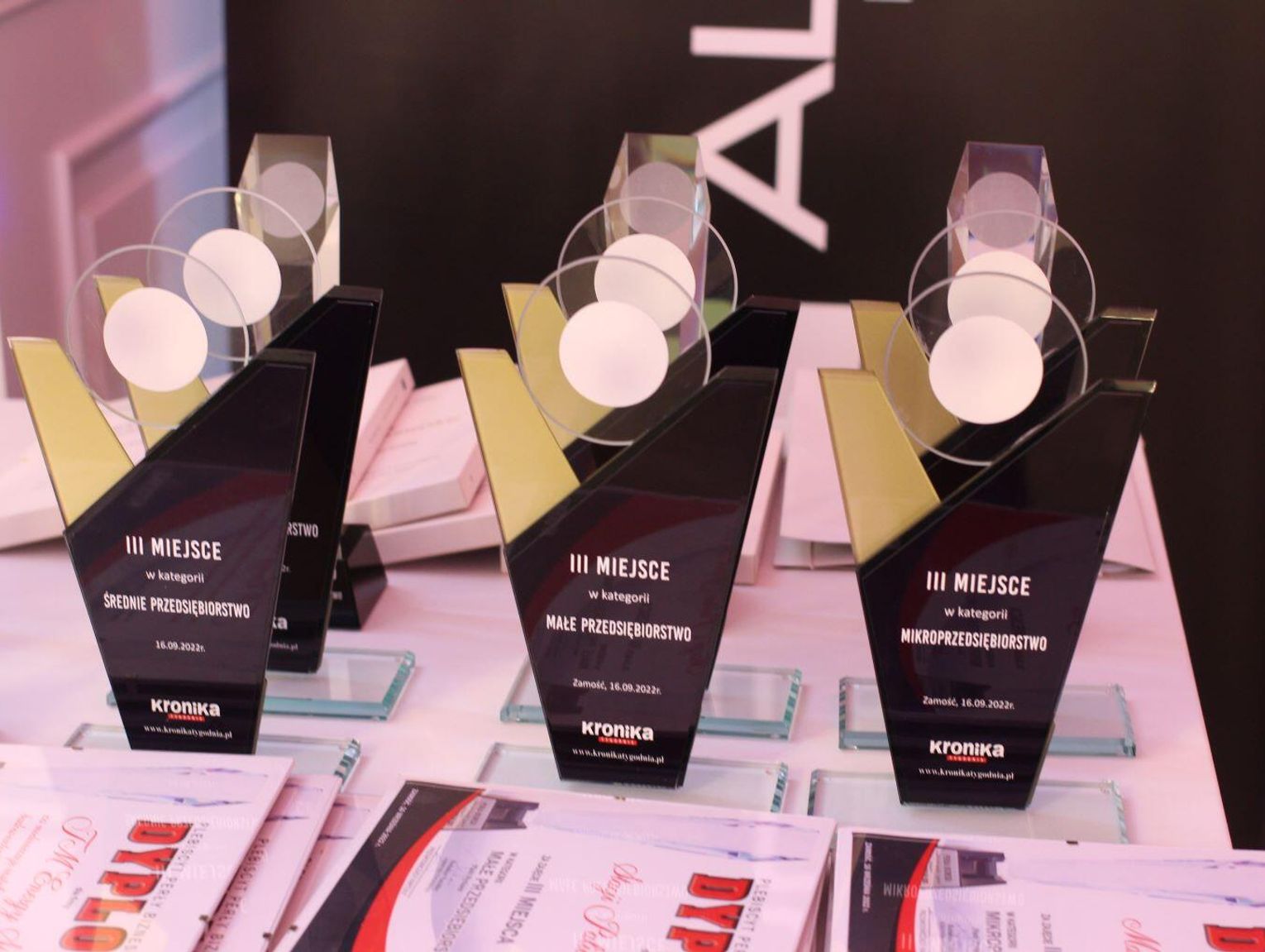 Kto zwycięży w plebiscycie Perły Biznesu? Zaczynamy głosowanie!