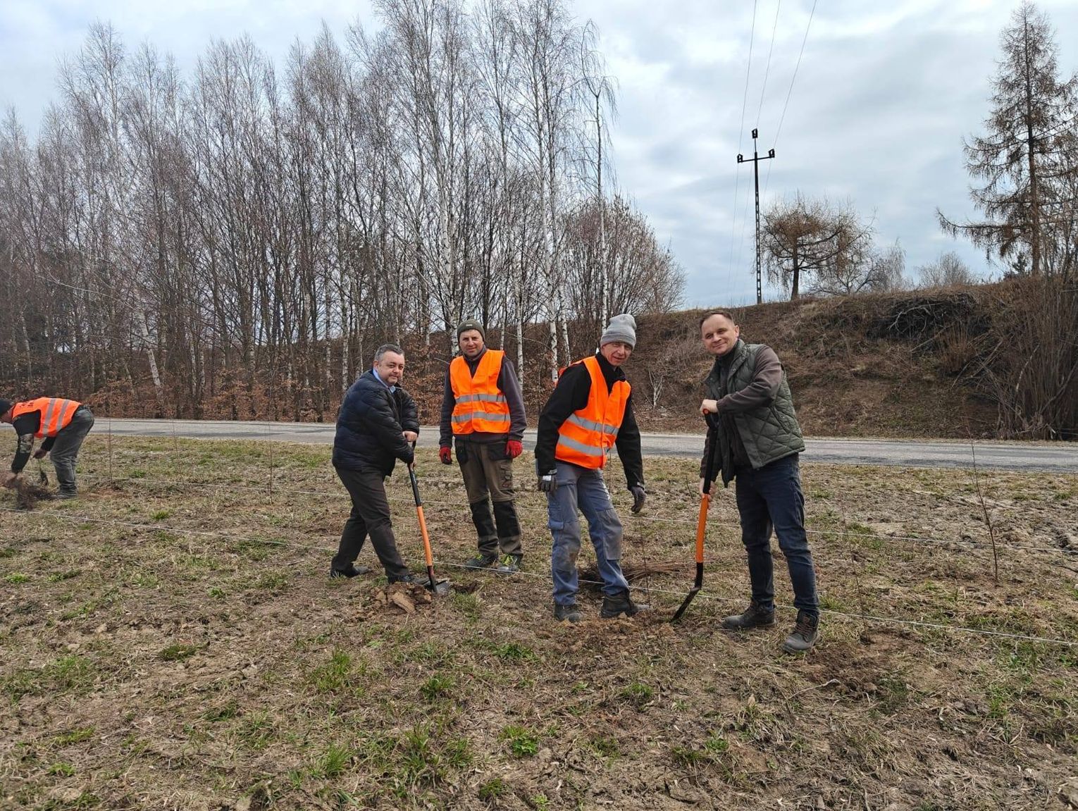 Niech rosną zielone płuca Wierszczycy! Gmina Jarczów zasadziła 1060 brzóz na nieużytku