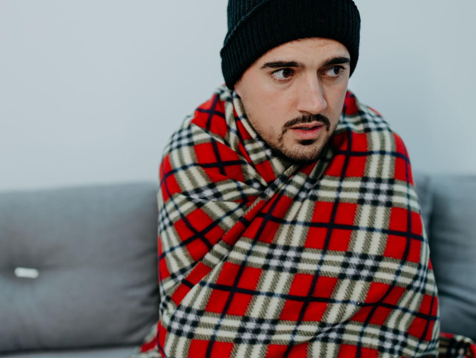 Pasożytują na innych. w okresie korzystają z ciepła sąsiadów