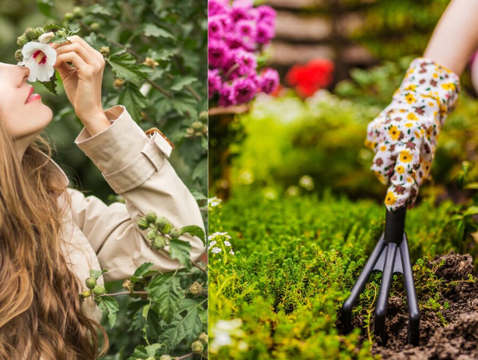 Pierwsza wiosna zacznie się 20 marca, druga dzień później