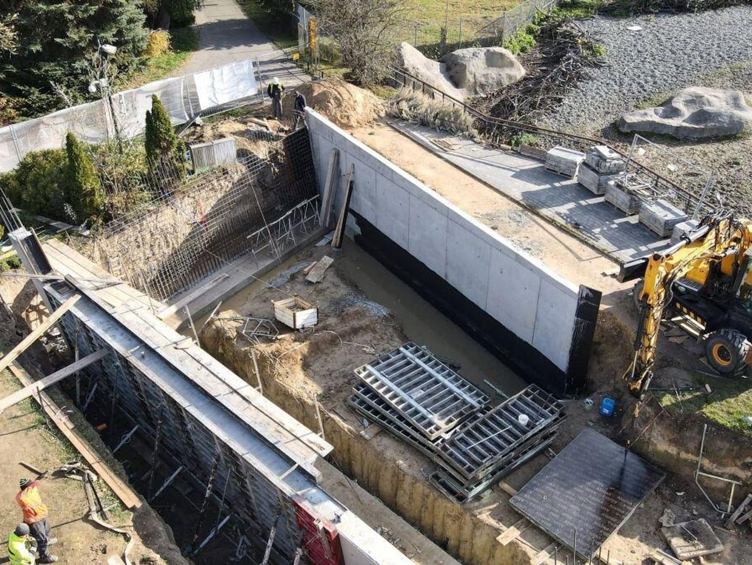 Pingwiny będziemy oglądać na lądzie i pod wodą. To będzie największa atrakcja zoo w Zamościu