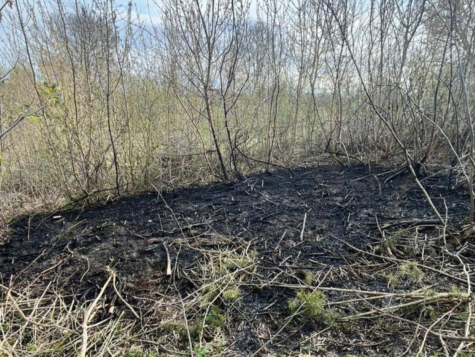 Podpalił, bo to jego. Pijany 49-latek z gminy Trzeszczany myślał, iż jest bezkarny