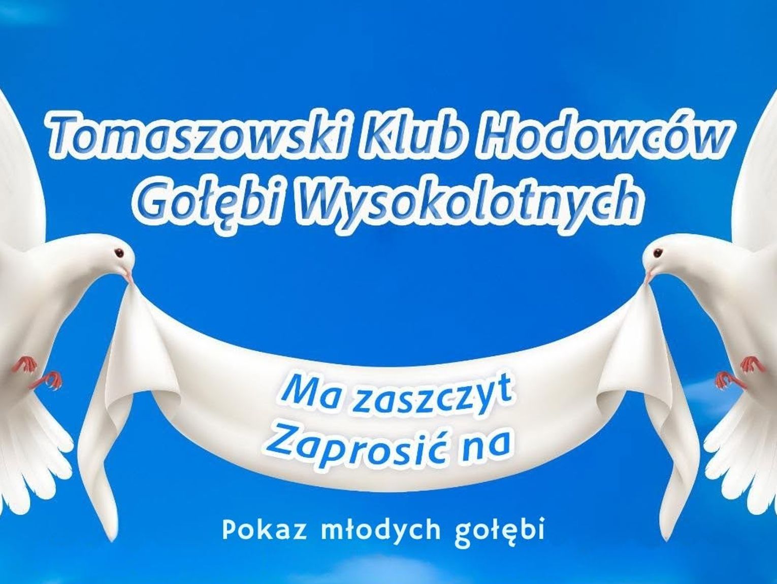 Pokaz młodych gołębi w Łaszczówce. Hodowcy zapraszają na spotkanie