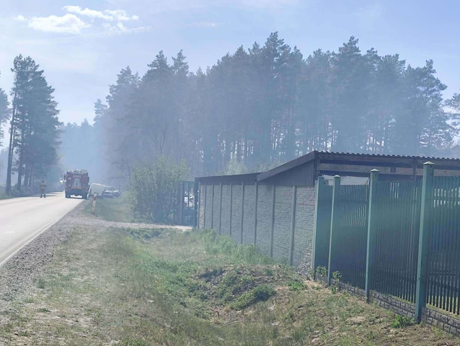 Pożar Puszczy Solskiej. Wolontariusze ewakuowali psy z przytuliska w Józefowie