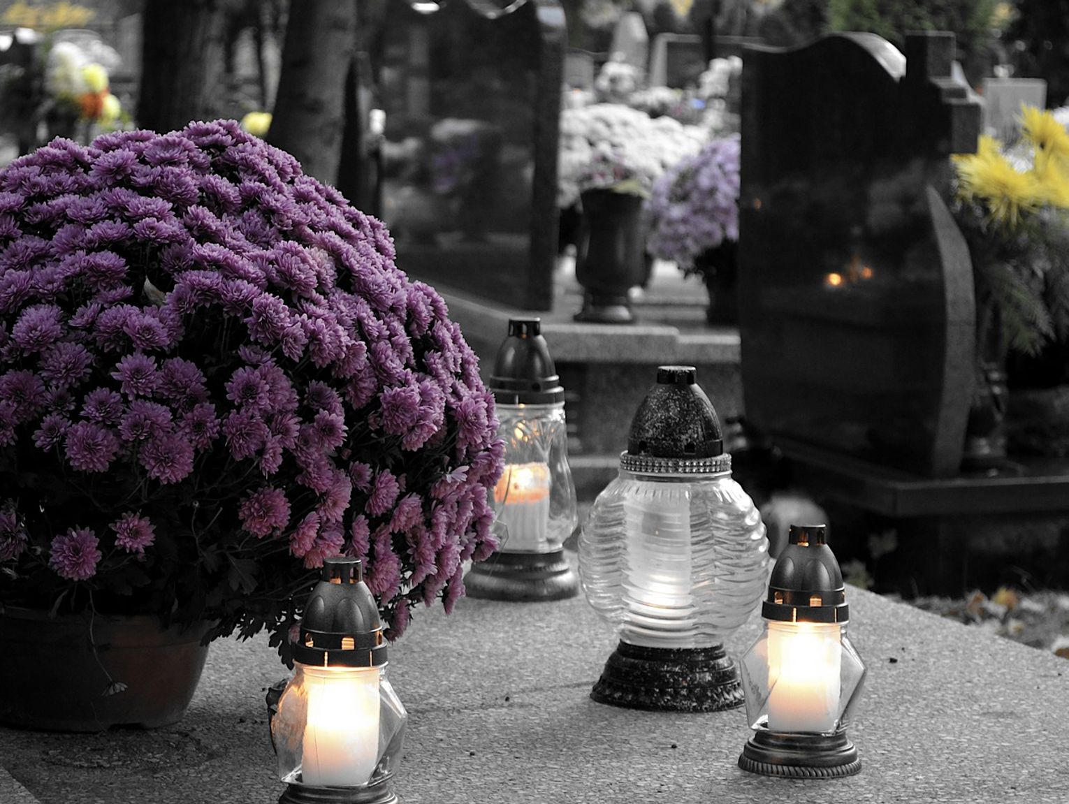 Prawie 200 wolontariuszy będzie kwestowało na cmentarzach w Tomaszowie Lubelskim