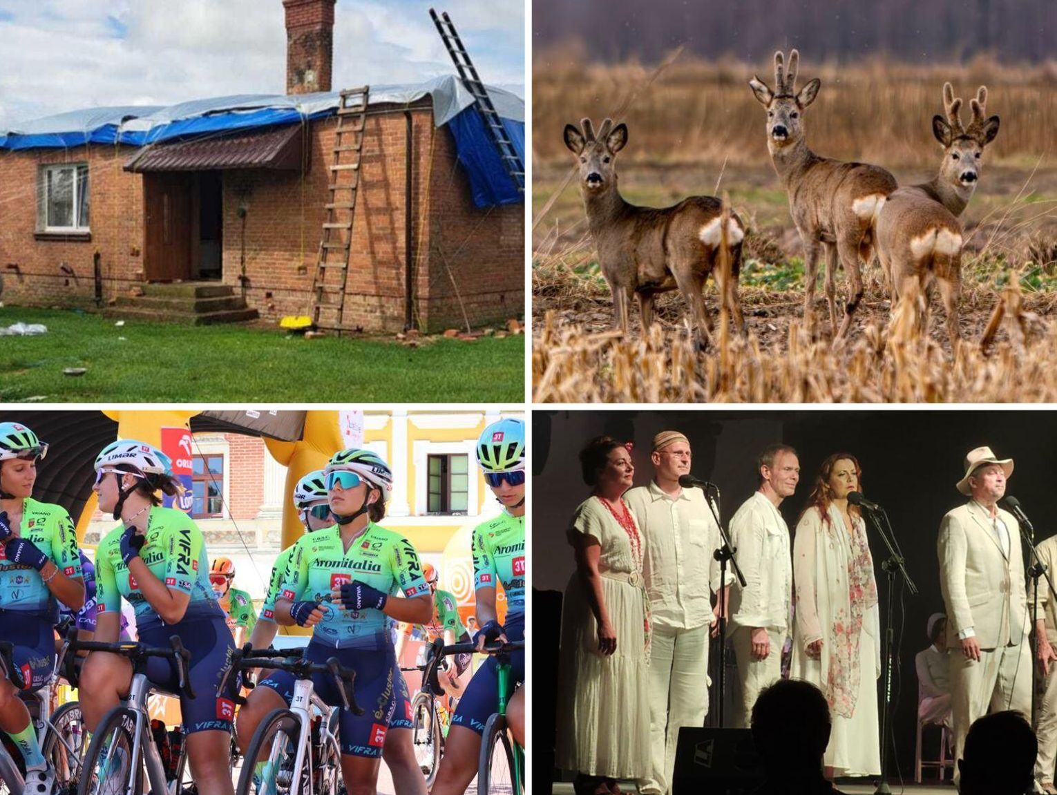 Przegląd wiadomości, 12 sierpnia 2025. Zamość, Tomaszów Lubelski, Hrubieszów, Biłgoraj