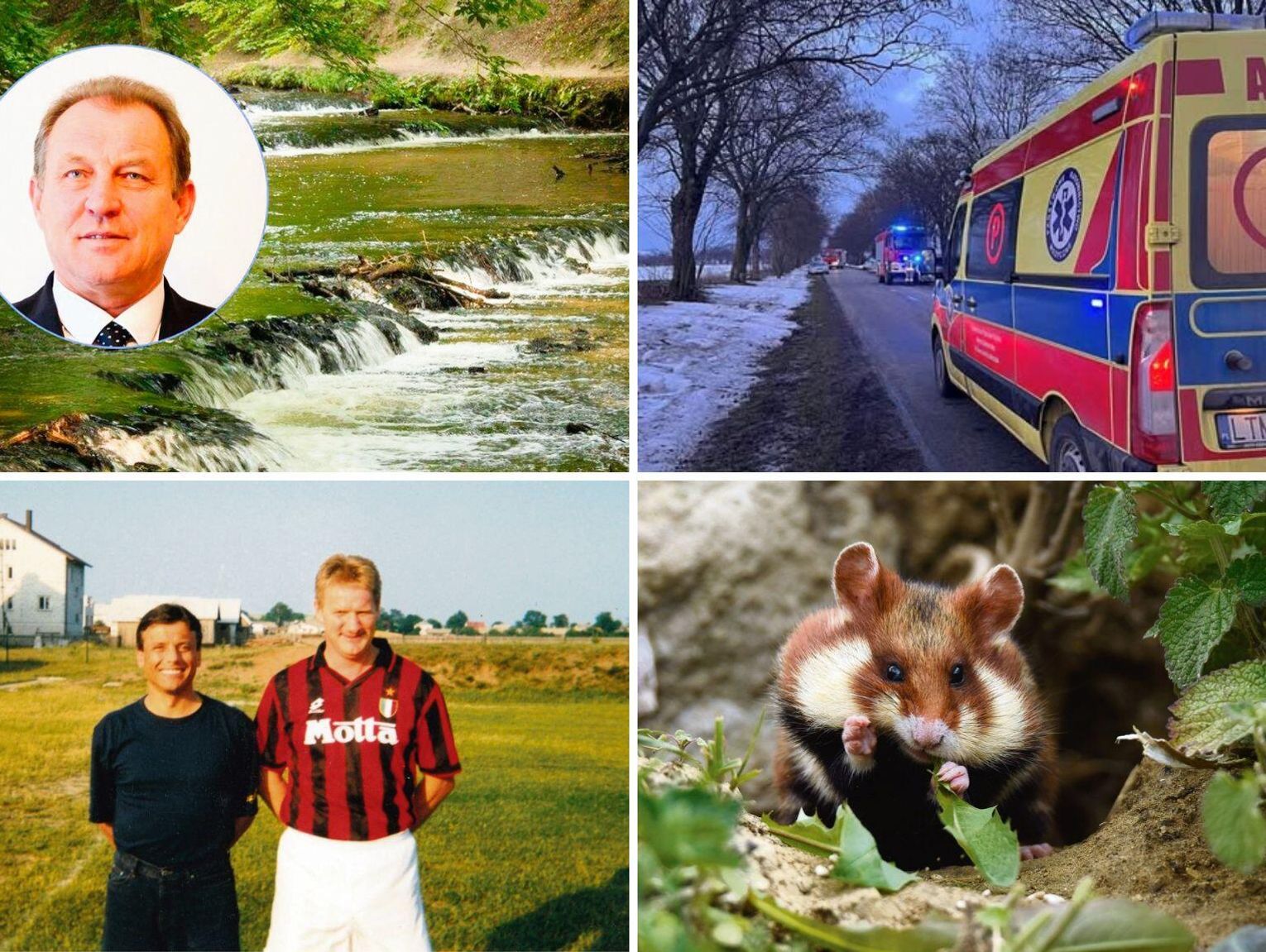 Przegląd wiadomości, 24 lutego 2026. Zamość, Tomaszów Lubelski, Hrubieszów, Biłgoraj