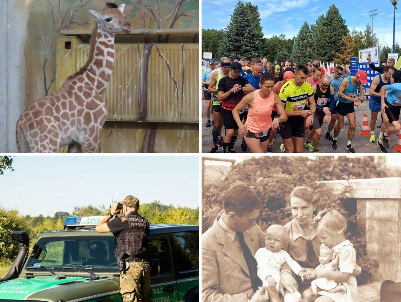 Przegląd wiadomości, 8 sierpnia 2025. Zamość, Tomaszów Lubelski, Hrubieszów, Biłgoraj