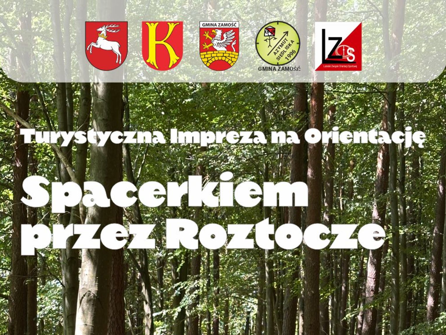 Puchar Roztocza w Krasnobrodzie. Biegi dla dzieci i dorosłych
