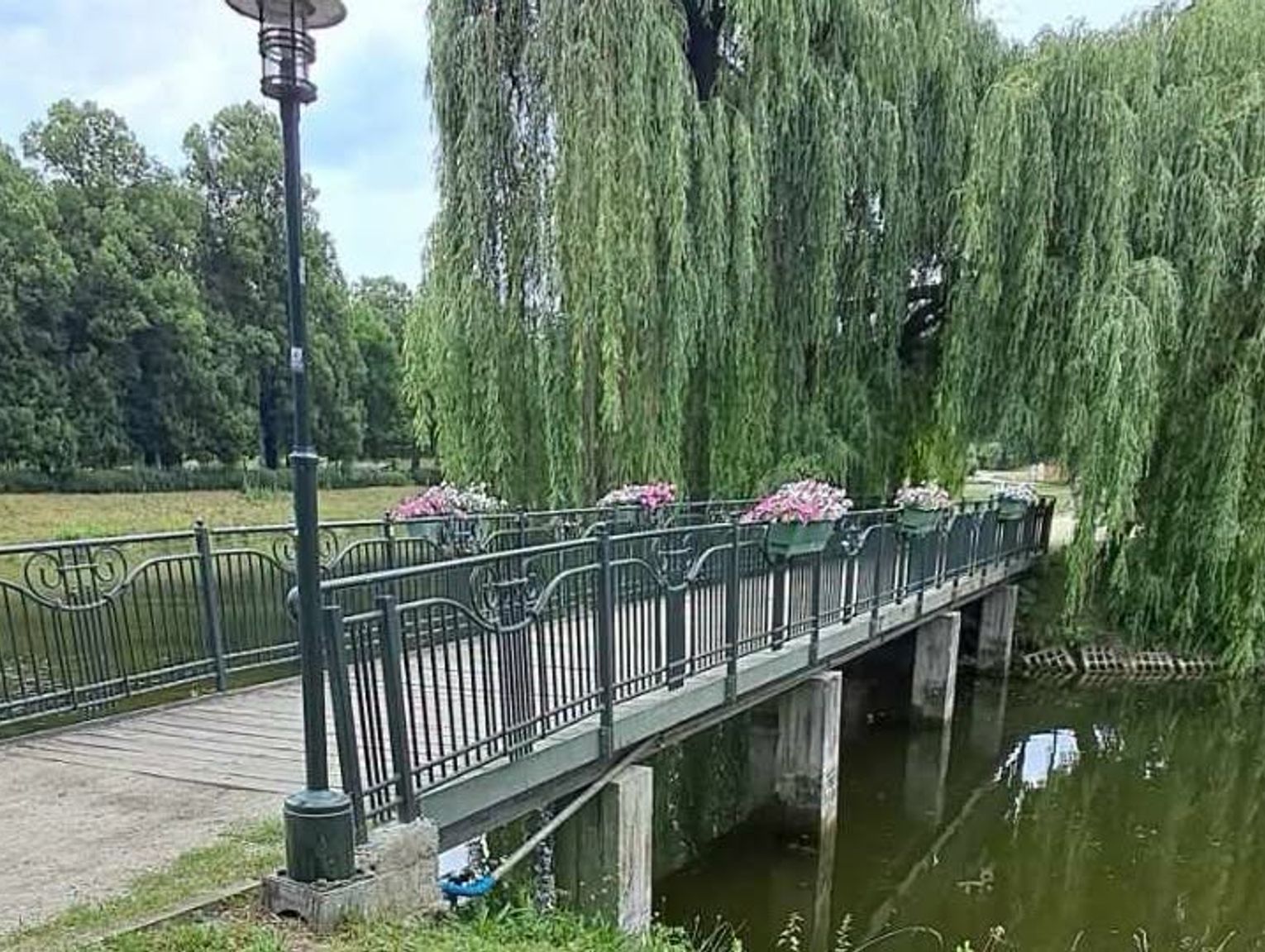 Remont kładki w Parku Miejskim w Zamościu. Wybrano wykonawcę projektu