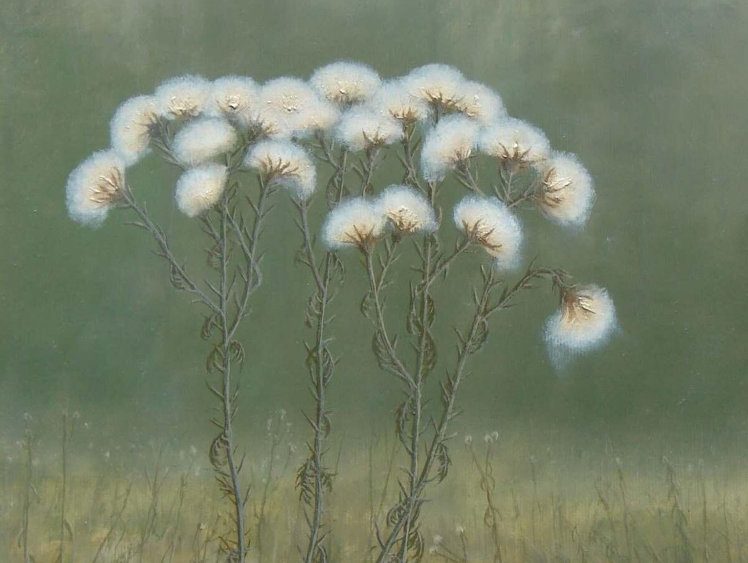 Roztocze w malarstwie Dariusza Króla. Wystawa w Szczebrzeszynie już od 1 maja