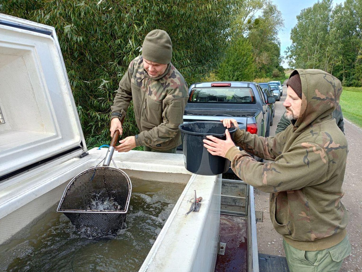 Roztocze: Zarybiają rzeki, jeziora, zbiorniki. Wpuszczą 17 gatunków ryb [ZDJĘCIA]