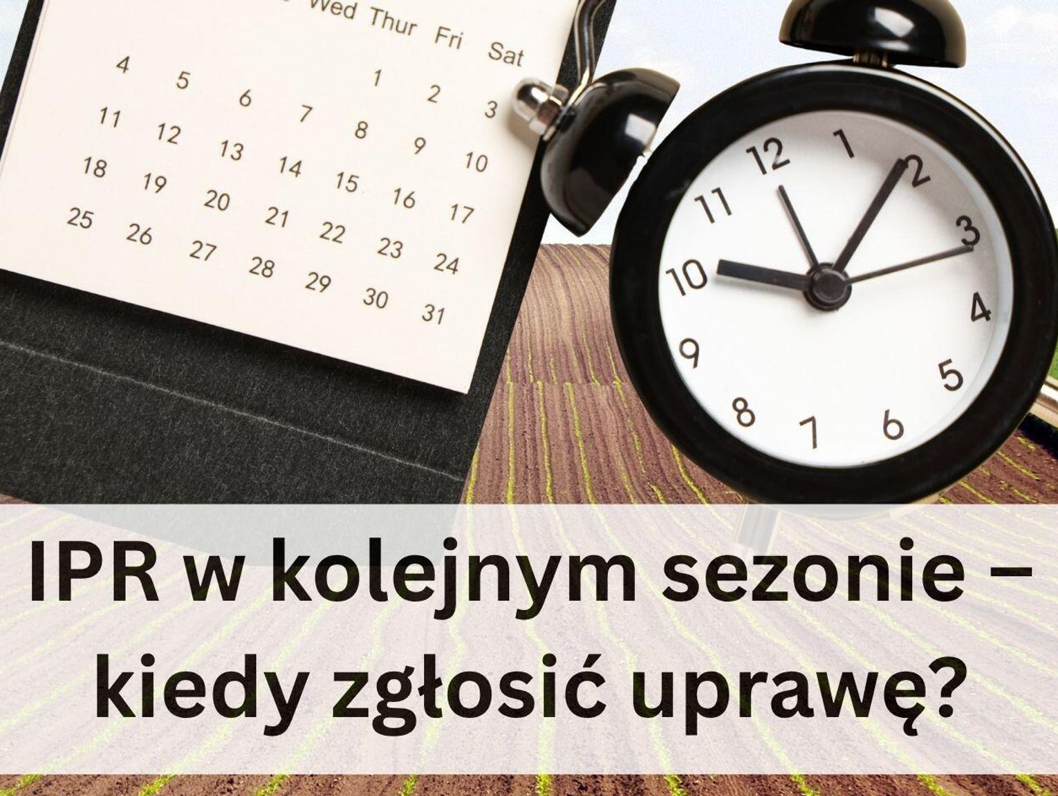 Siejesz oziminy takie jak pszenica, jęczmień, pszenżyto? Czy jesteś producentem rzepaku?