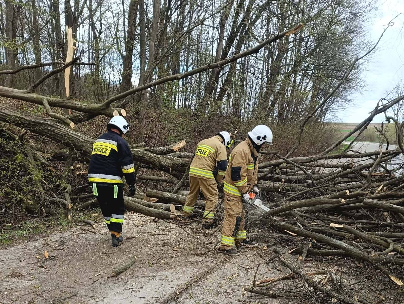 Silny wiatr łamał drzewa, zrywał dachy. Interwencje strażaków w powiecie tomaszowskim [ZDJĘCIA]