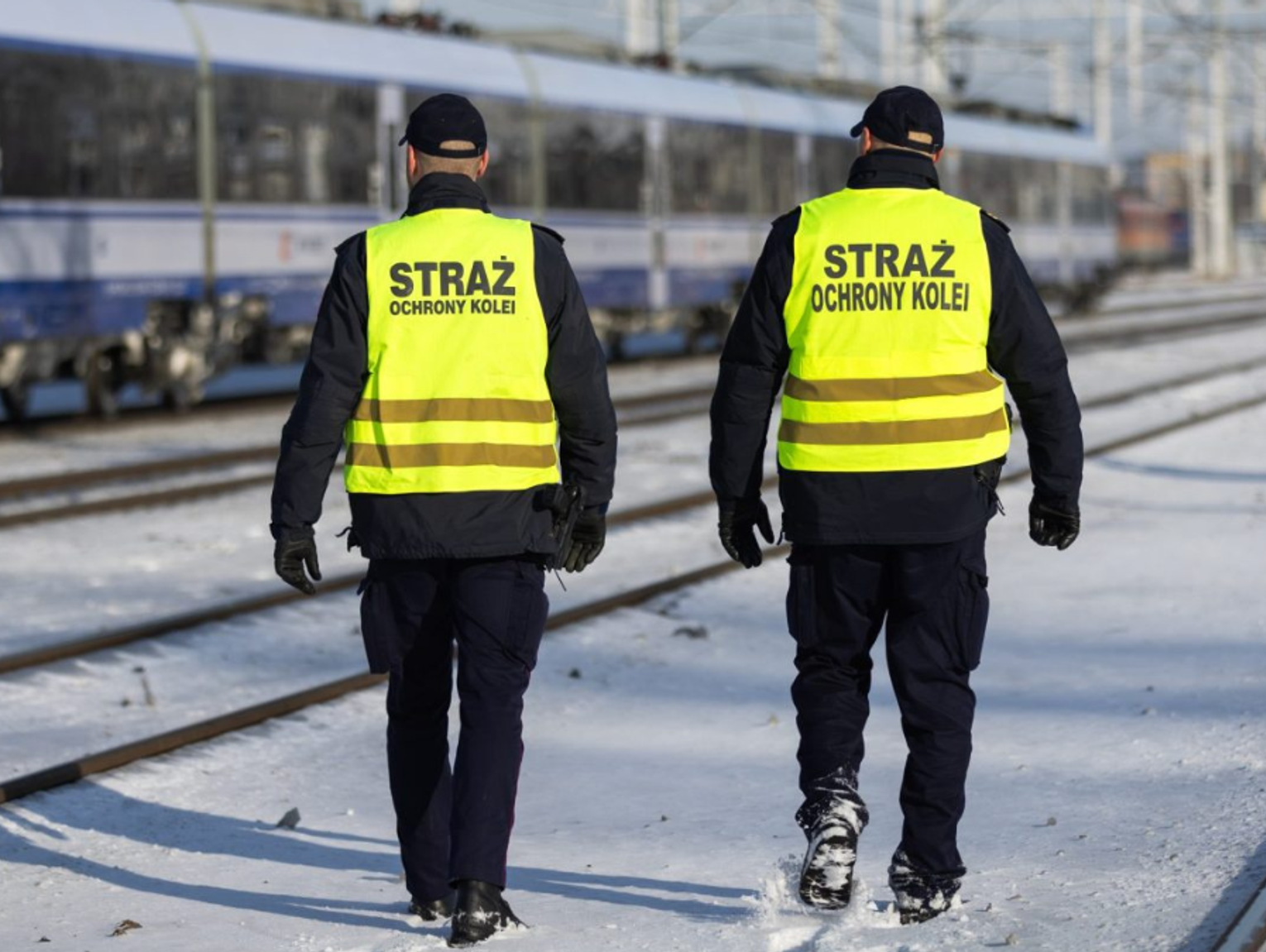 SOK poszukuje sokistów. Można zarobić 8 tysięcy złotych