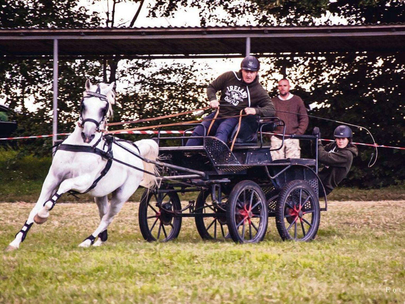 Spędź weekend w Sitnie. Na Święcie Konia będą zawody zaprzęgowe i kawaleryjskie
