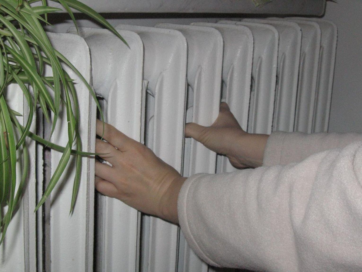 Spór o temperaturę w szkole w Zwierzyńcu. Dyrektor zapewnia, iż nie ma problemów z ogrzewaniem