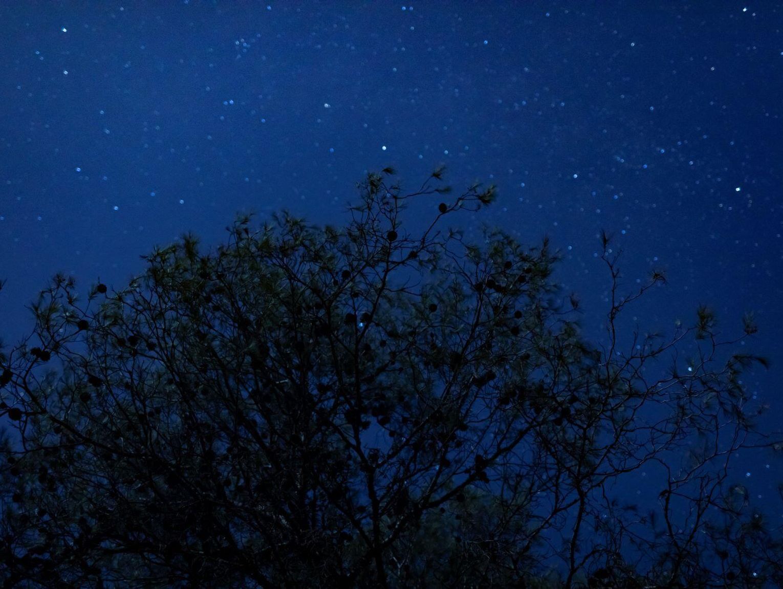 Starlinki nad regionem. Dziś wieczorem widowiskowy przelot satelitów