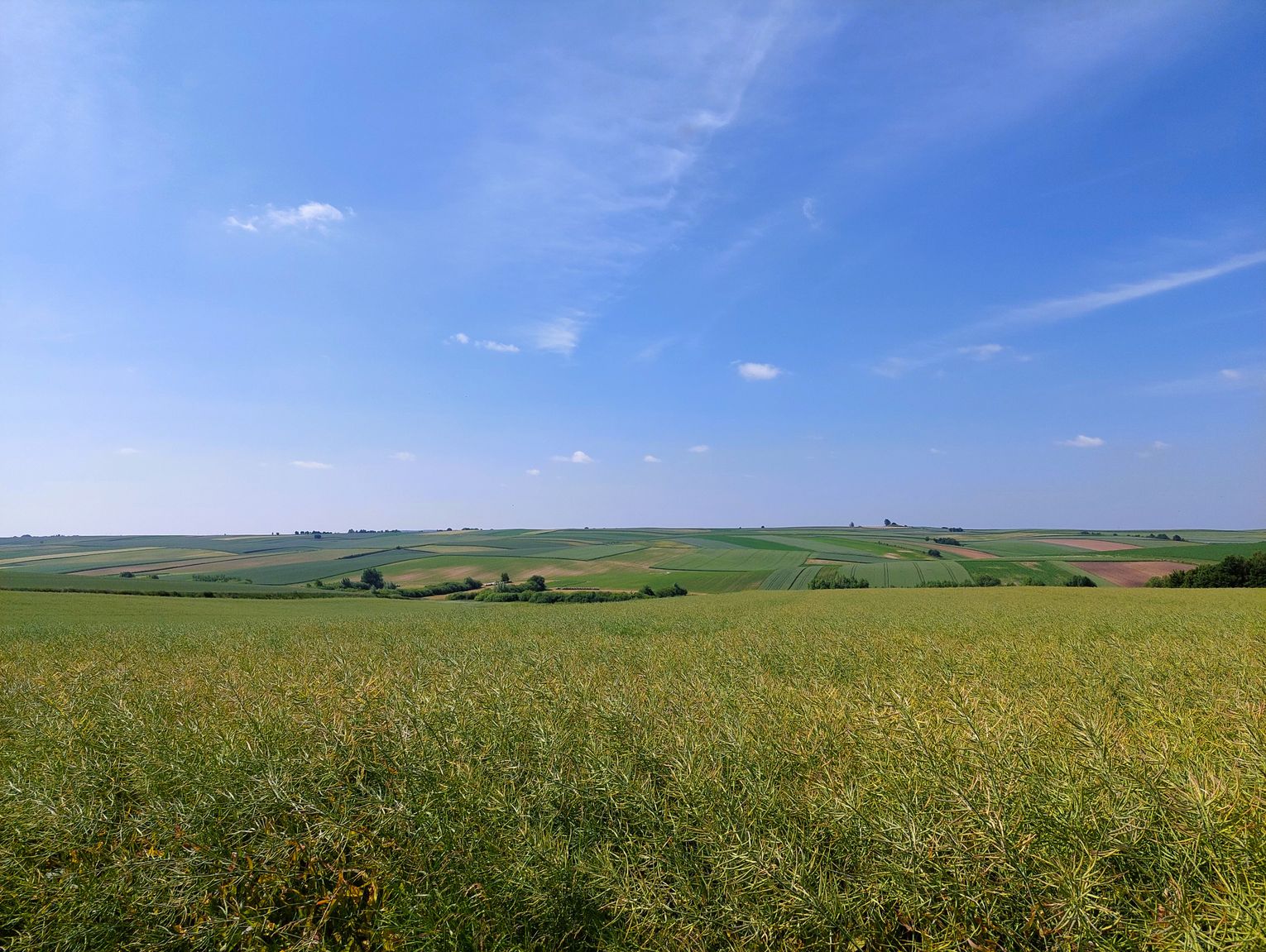 Szkolenie dla rolników w Rachaniach. Tematem normy i wymogi warunkowości