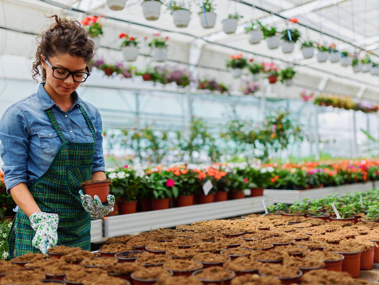 Szukasz legalnej pracy w Holandii? Oferty już na Ciebie czekają!