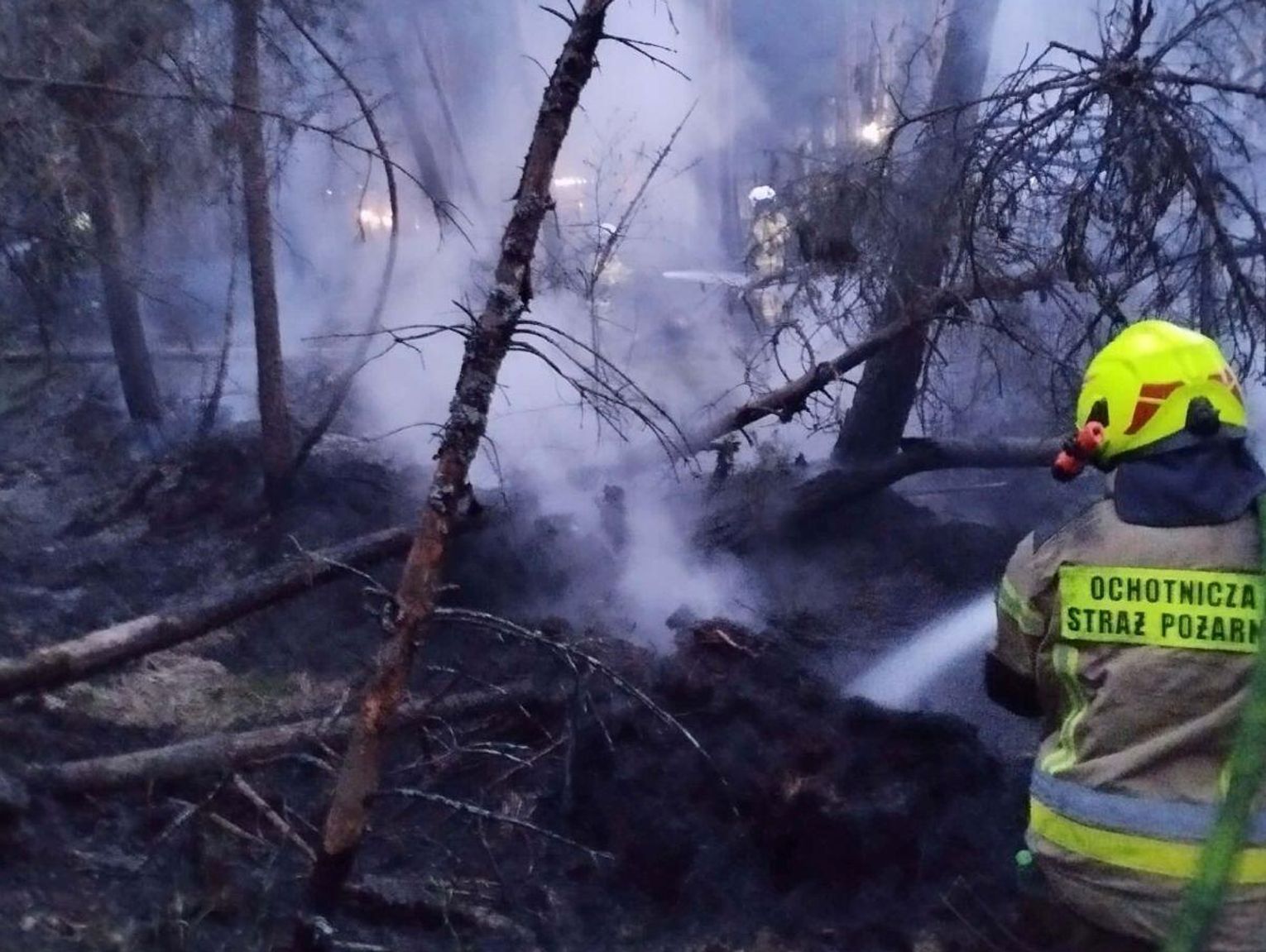 To była dramatyczna noc dla strażaków z powiatu biłgorajskiego. Walczyli o lasy w Osuchach