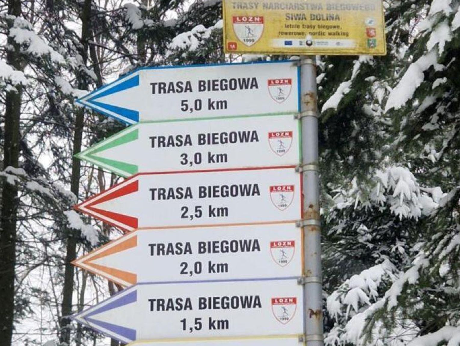 Trasy narciarskie Siwej Doliny gotowe. Masz 5 tras do wyboru, sprzęt wypożyczysz za grosze