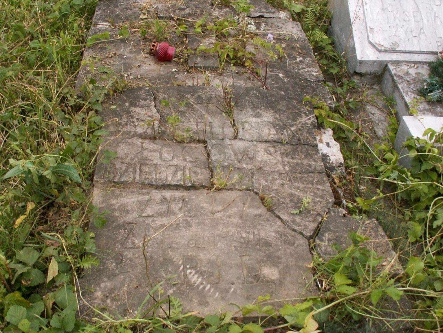 Tyszowce: Kwesta się udała. Wyremontują nagrobek ostatniego dziedzica Przewala