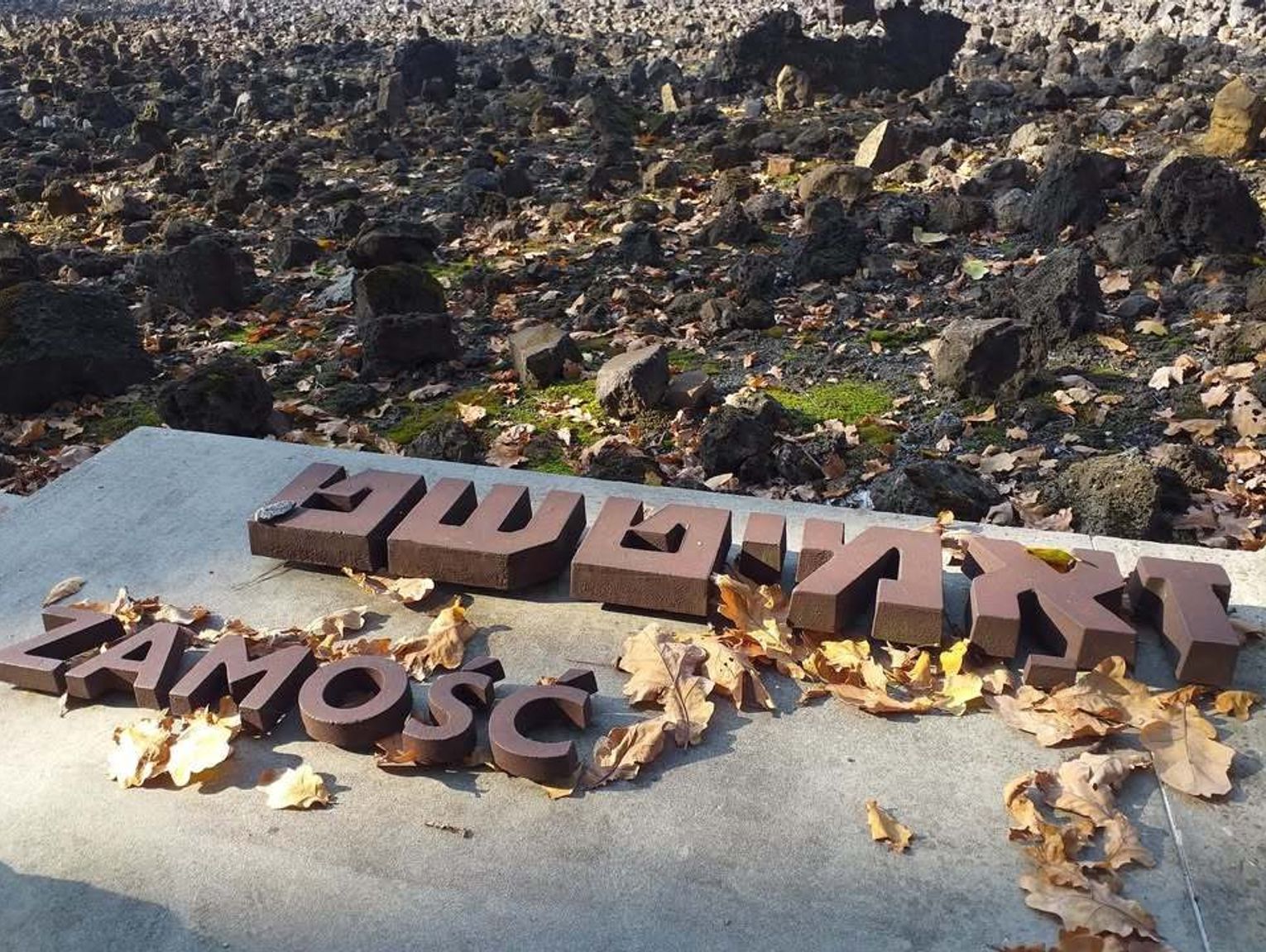 Upamiętnią zagładę żydowskiej społeczności Zamościa. Prelekcja i wystawa w Centrum „Synagoga”