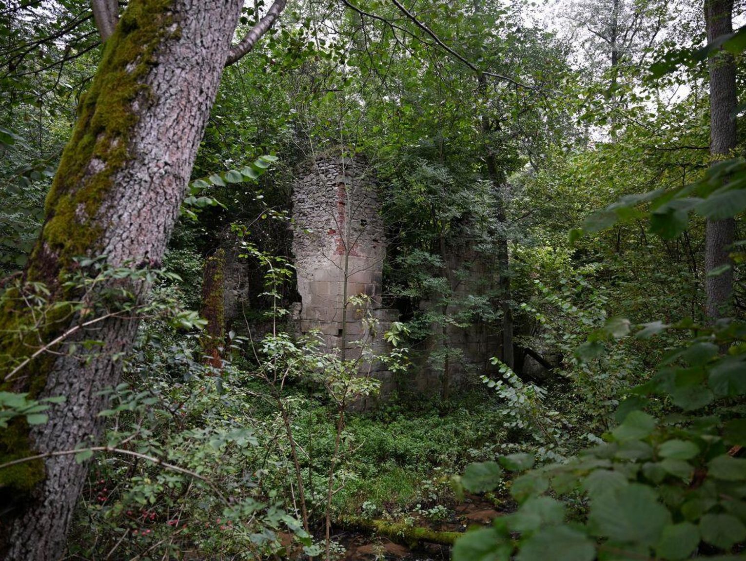 Utrudnienia w rezerwacie Czartowe Pole. Rozpoczęły się prace porządkowe przy ruinach papierni