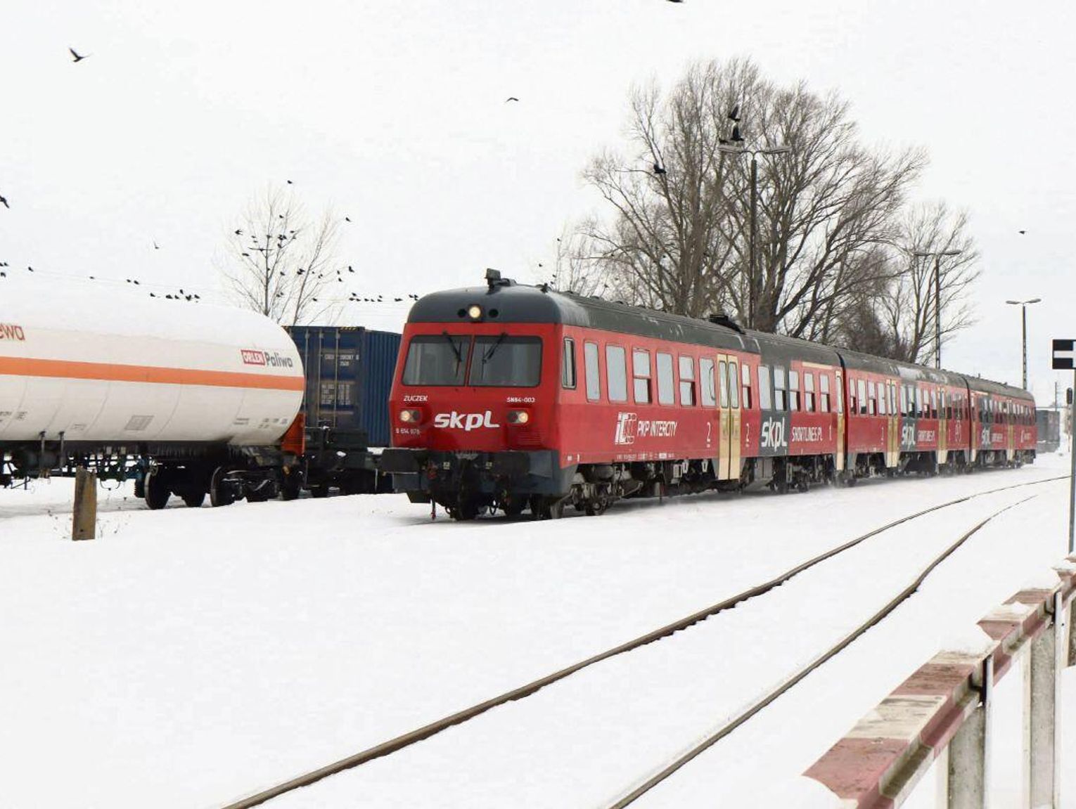 Uwięzieni w „holenderskim szrocie”. Czy pasażerowie ze wschodniej Polski to podróżni drugiej kategorii?
