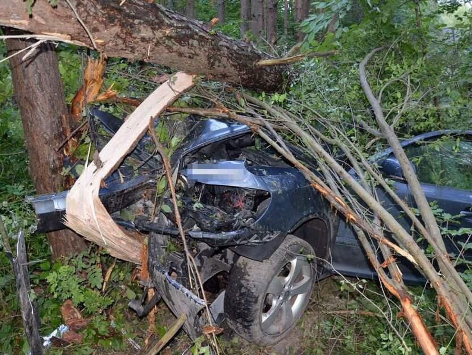 Wypadek na trasie Krasnobród - Zielone. Pijany kierowca skody uderzył w drzewo, 4 osoby w szpitalu