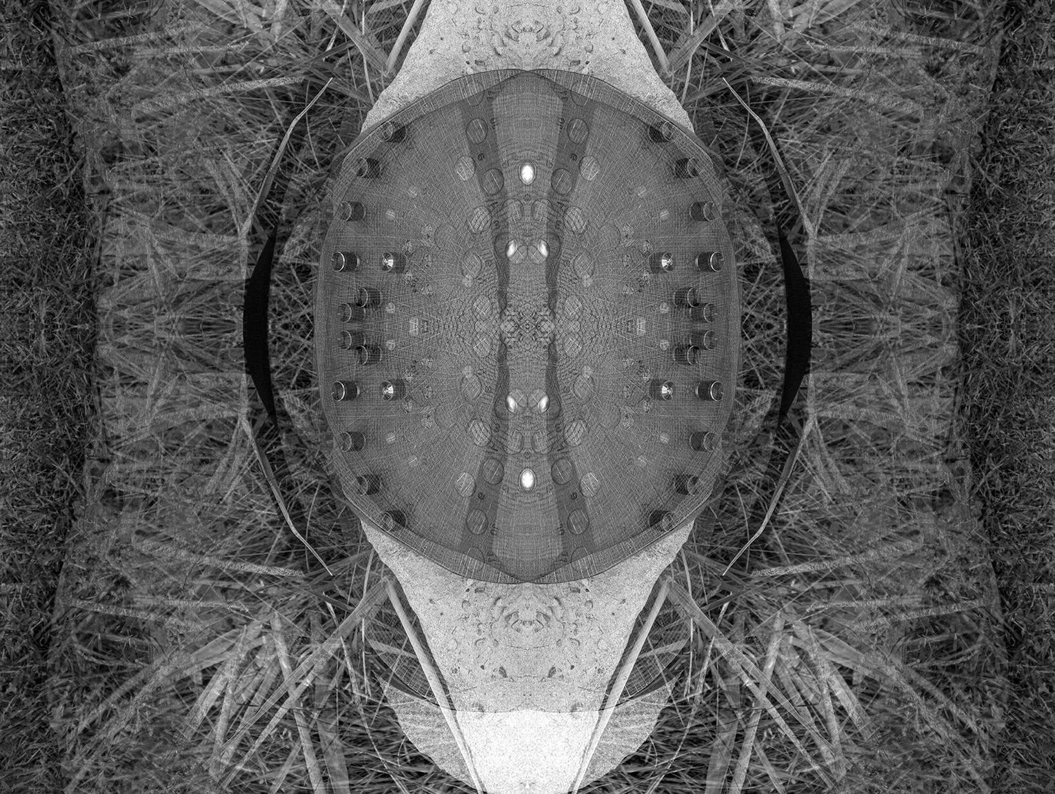 Soma Shapes w Zamościu: wystawa o ciele i pamięci z live actem