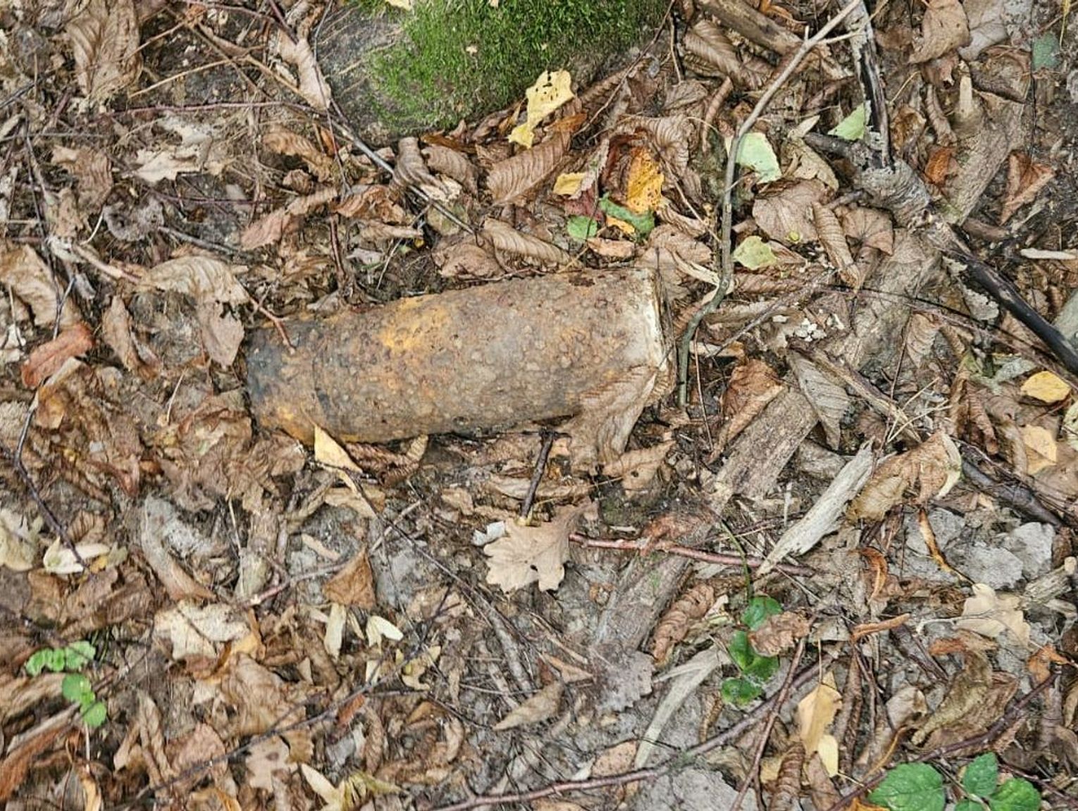 Nietypowe grzybobranie. Zamiast prawdziwków – pocisk z wojny